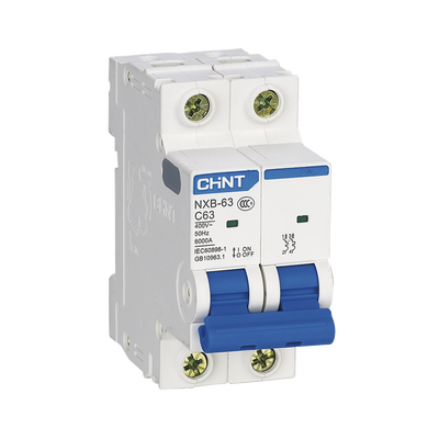 [NXB632PC63] Pastilla para Riel Din, 2 Polo, 63 Amp, Vca:110/415v, 6kA, Catálogo: NXB632PC63.